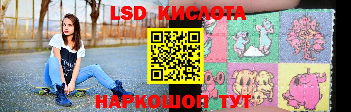 Михайловка  ссылка на мегу зеркало  LSD-25 экстази кислота  Вход с VPN  LSD-25 экстази кислота 