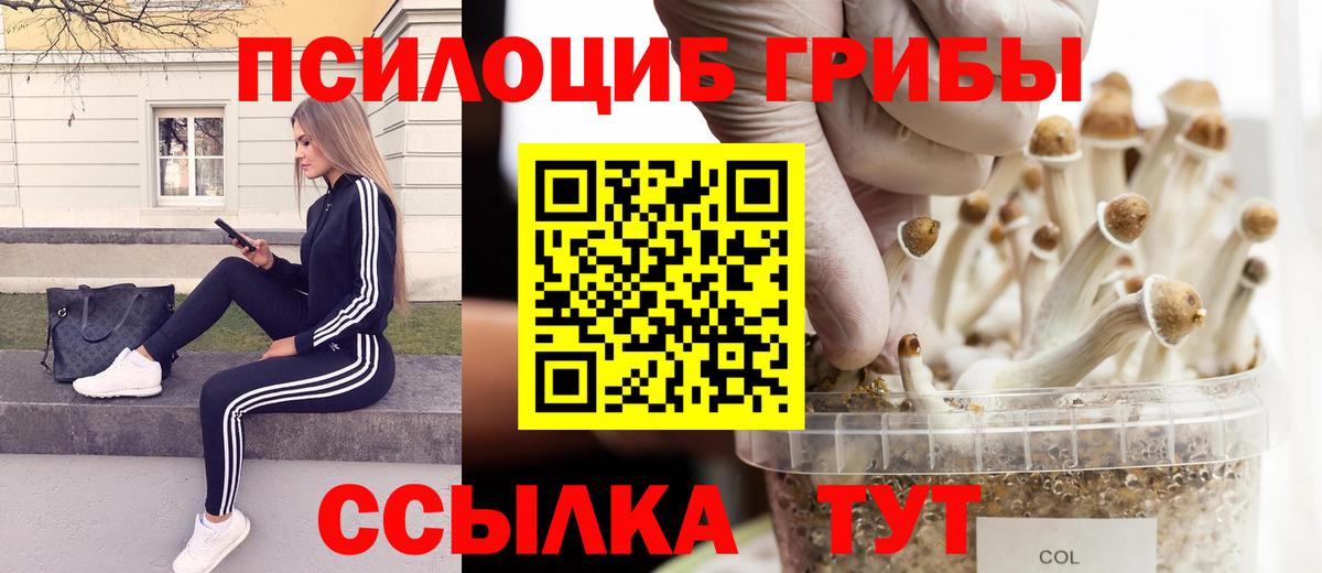 Галлюциногенные грибы MAGIC MUSHROOMS Михайловка