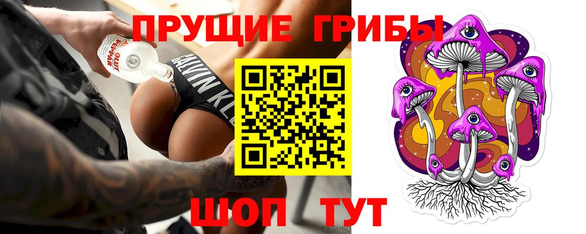 Михайловка  Псилоцибиновые грибы Psilocybe  Галлюциногенные грибы прущие грибы  Вход с VPN 